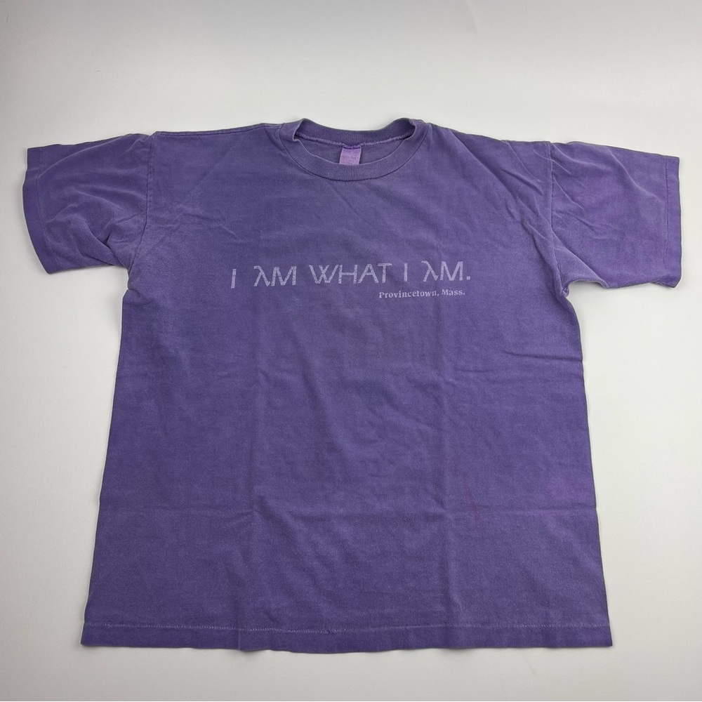 Vintage 90s “I am What I Am” Provincetown Massachusetts Single Stitch Size L